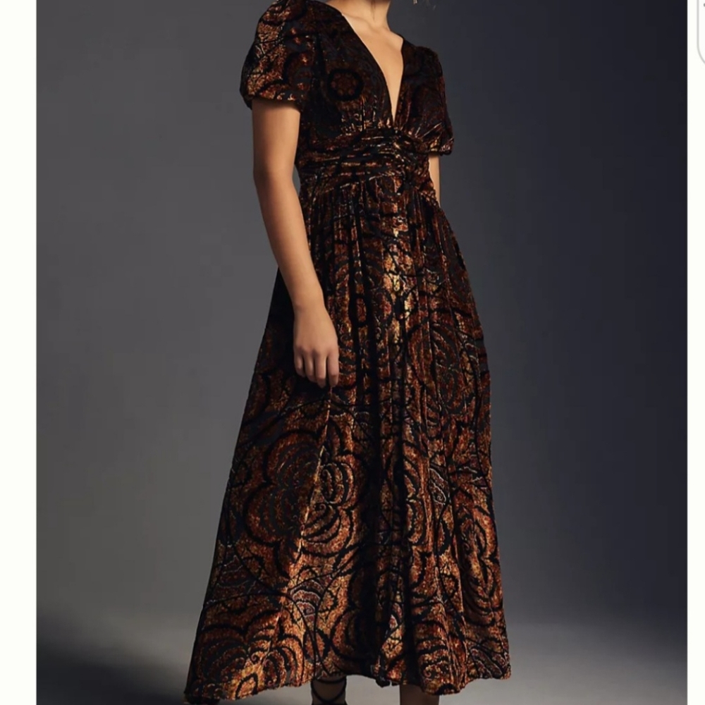 Anthropologie burnout katerina style velvet dress Anthropologie velvet dress